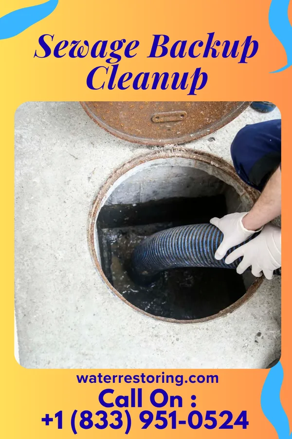 Sewage Backup Cleanup in Abbotsford, WI